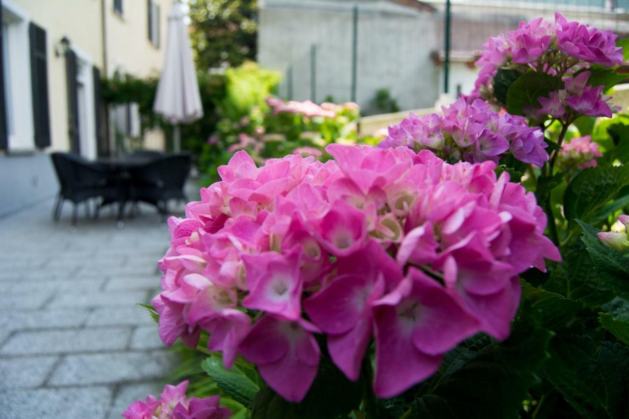 Giardino Delle Ortensie Cannobio Exterior foto